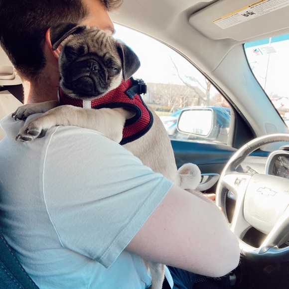 β’ meet the assistants β’ - Picture 10 of 15